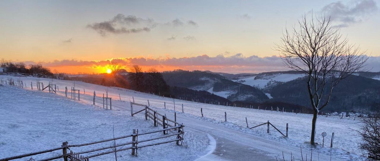 Chalet Bergliebe Брілон Екстер'єр фото