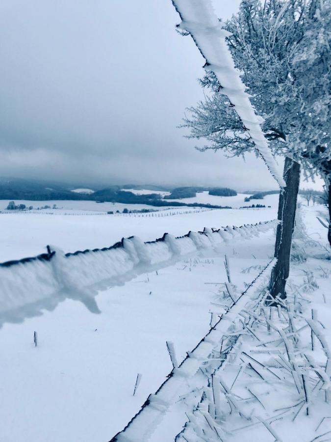 Chalet Bergliebe Брілон Екстер'єр фото