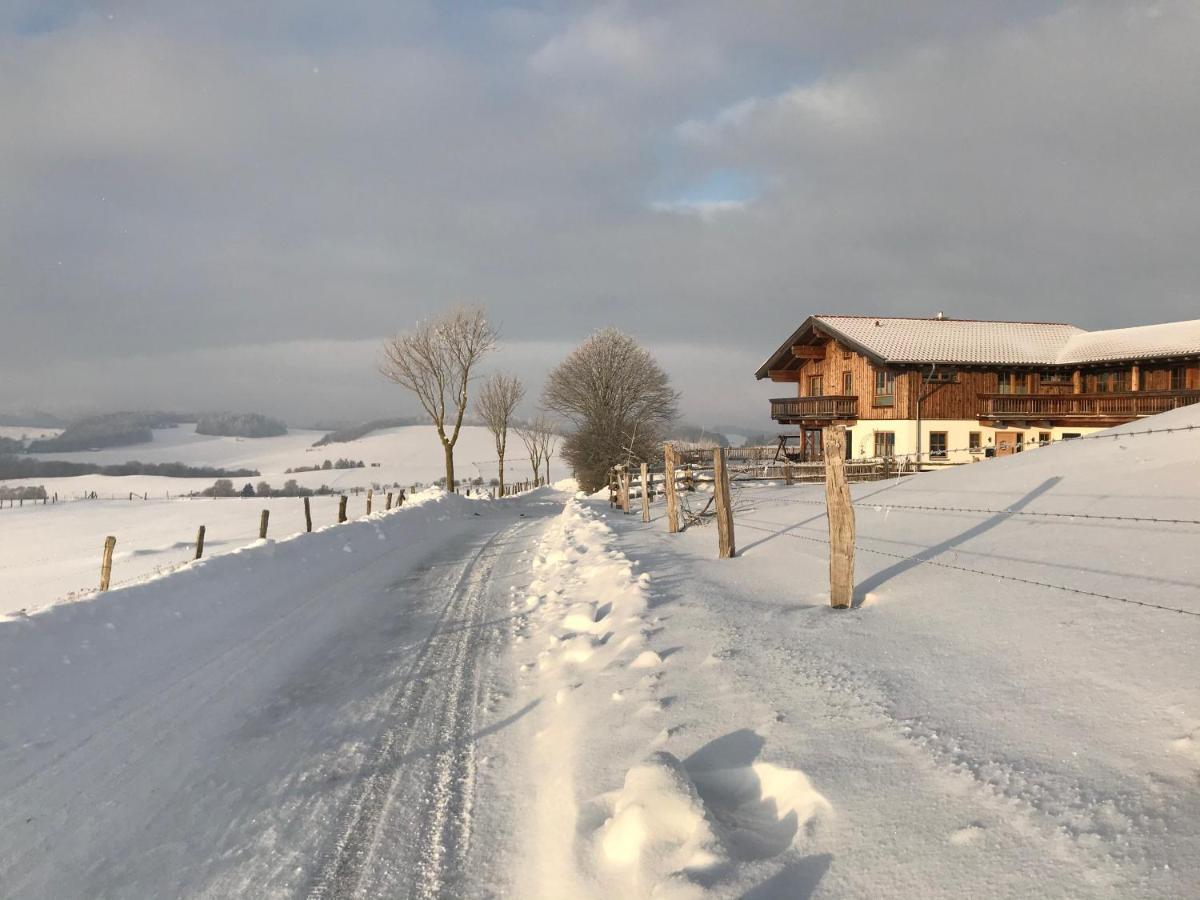 Chalet Bergliebe Брілон Екстер'єр фото