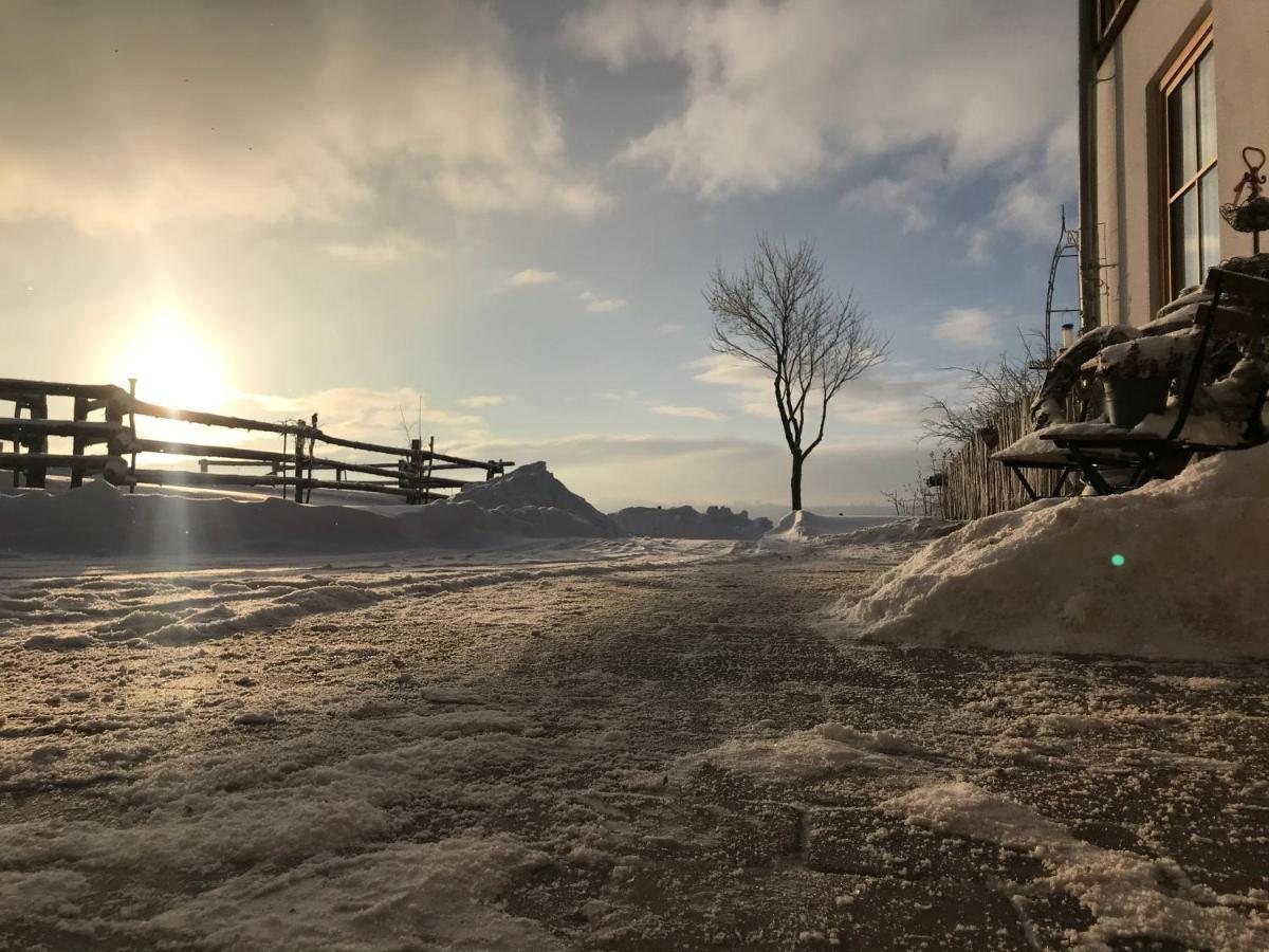 Chalet Bergliebe Брілон Екстер'єр фото